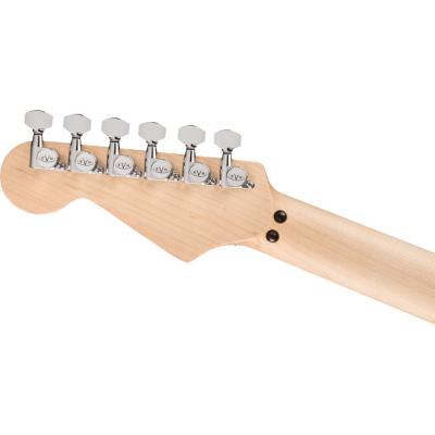 EVH Striped Series Circles White and Black エレキギター ヘッド裏