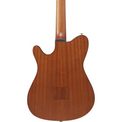 IBANEZ アイバニーズ FRH10N-IBF Nylon Electric Guitar IBF ナイロン弦 エレガットギター ボディバック画像