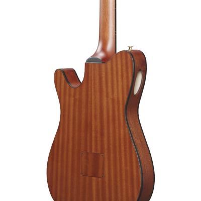 IBANEZ アイバニーズ FRH10N-IBF Nylon Electric Guitar IBF ナイロン弦 エレガットギター ボディバック斜めアングル画像