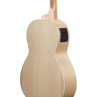 Ibanez アイバニーズ PN29E-OPN エレクトリックアコースティックギター ボディバック、サイド