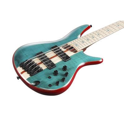 Ibanez アイバニーズ SR1425B-CGL SR Premium 5弦エレキベース ボディサイド、トップ