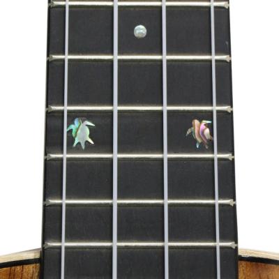 BIG ISLAND ビッグアイランド KM-CTG コンサートウクレレ 指板画像