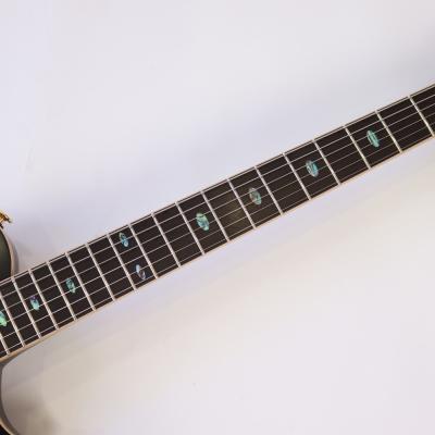 APII PE-5350GE/SH MTBK エレキギター 指板画像