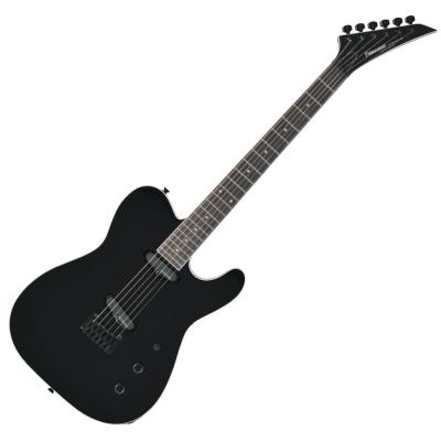 FERNANDES フェルナンデス TEJ-STD 2S BLK エレキギター