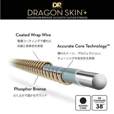 DR DRAGON SKIN＋ DAP-10 10-48 Phosphor Bronze アコースティックギター弦 ドラゴン・スキン プラス