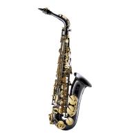 Forestone フォレストーン Alto Saxophone GX Black Nickel アルトサックス
