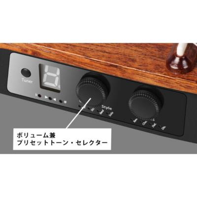 NATASHA ナターシャ NBSG Bass Smart Bass マホガニー スマートベース コントロール部画像