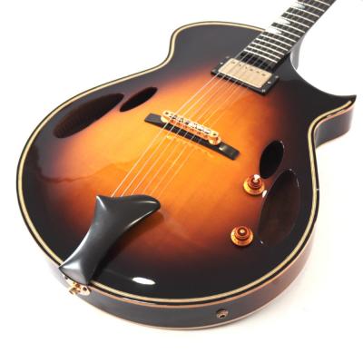 【中古】 Eastman イーストマン ER-4 フルアコ ボディトップ