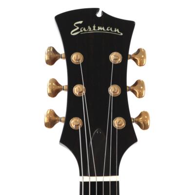 【中古】 Eastman イーストマン ER-4 フルアコ ヘッド