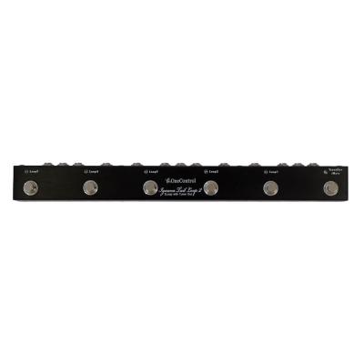 【中古】 スイッチングシステム ONE CONTROL LGUANA TAIL LOOP 2 正面