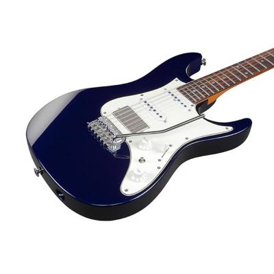 IBANEZ アイバニーズ AZ2204NW-DTB エレキギター ボディトップ画像