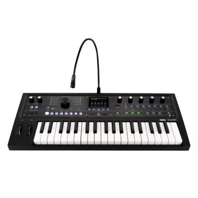 シンセサイザー マイクロコルグ2 KORG MicroKorg2 MK-2 MBK コルグ MICROKORG 2 マットブラック 限定カラー ケース付き