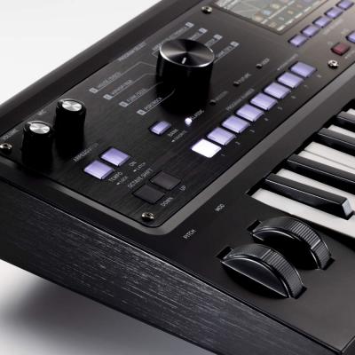 シンセサイザー マイクロコルグ2 KORG MicroKorg2 MK-2 MBK コルグ MICROKORG 2 マットブラック 限定カラー ケース付き サブ画像2