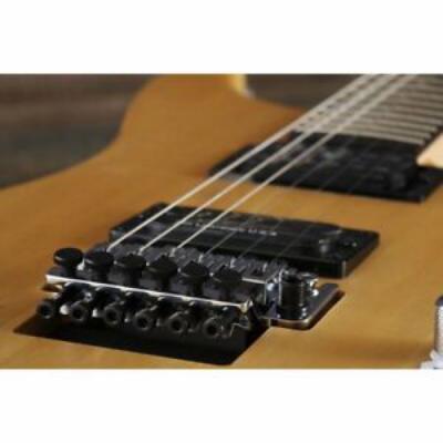 Washburn ワッシュバーン N2-NUNO Nuno Bettencourt Signature エレキギター フロイドローズ画像