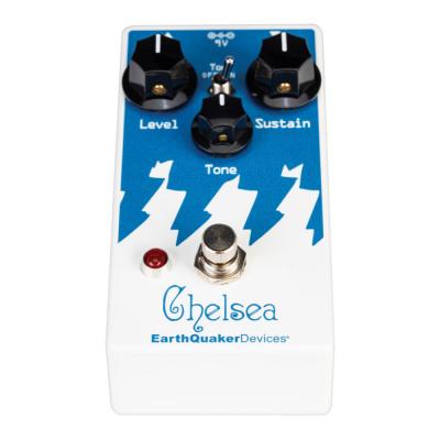 EarthQuaker Devices アースクエイカーデバイセス EQD Chelsea ベース用ファズ エフェクター 正面