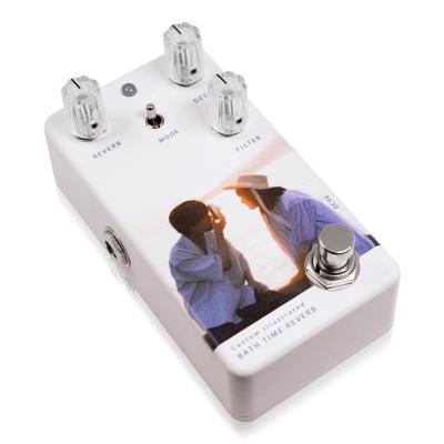 Animals Pedal アニマルズペダル Custom Illustrated BTR yung kai 01 blue リバーブ ギターエフェクター 全体