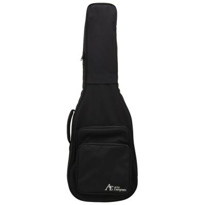 AriaProII 615-AE200 BKDM エレキギター ケース
