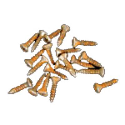 RS SR-PG AGED PARTS for ST-Type 20個入り ピックガード用ネジ