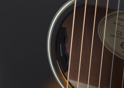 プリアンプにはフィッシュマン製の「Sonitone sound-hole preamp」を搭載