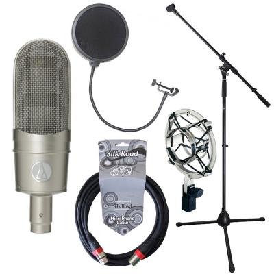 AUDIO-TECHNICA AT4080 リボンマイクロフォン マイクスタンド ケーブル ポップフィルター 4点セット