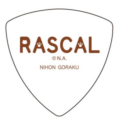 ラスカルピック なかよしシリーズ 大晦日 7 ギターピック あらいぐまラスカル ギターピック おにぎり型 おおみそか×10枚 裏面