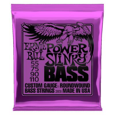 ERNIE BALL 2831/POWER SLINKY BASS×2SET