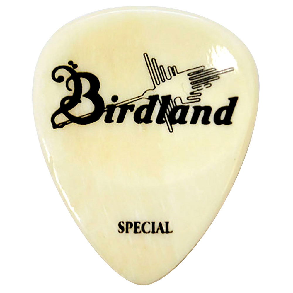 Birdland Buffalo Special Pick Bone ギターピック