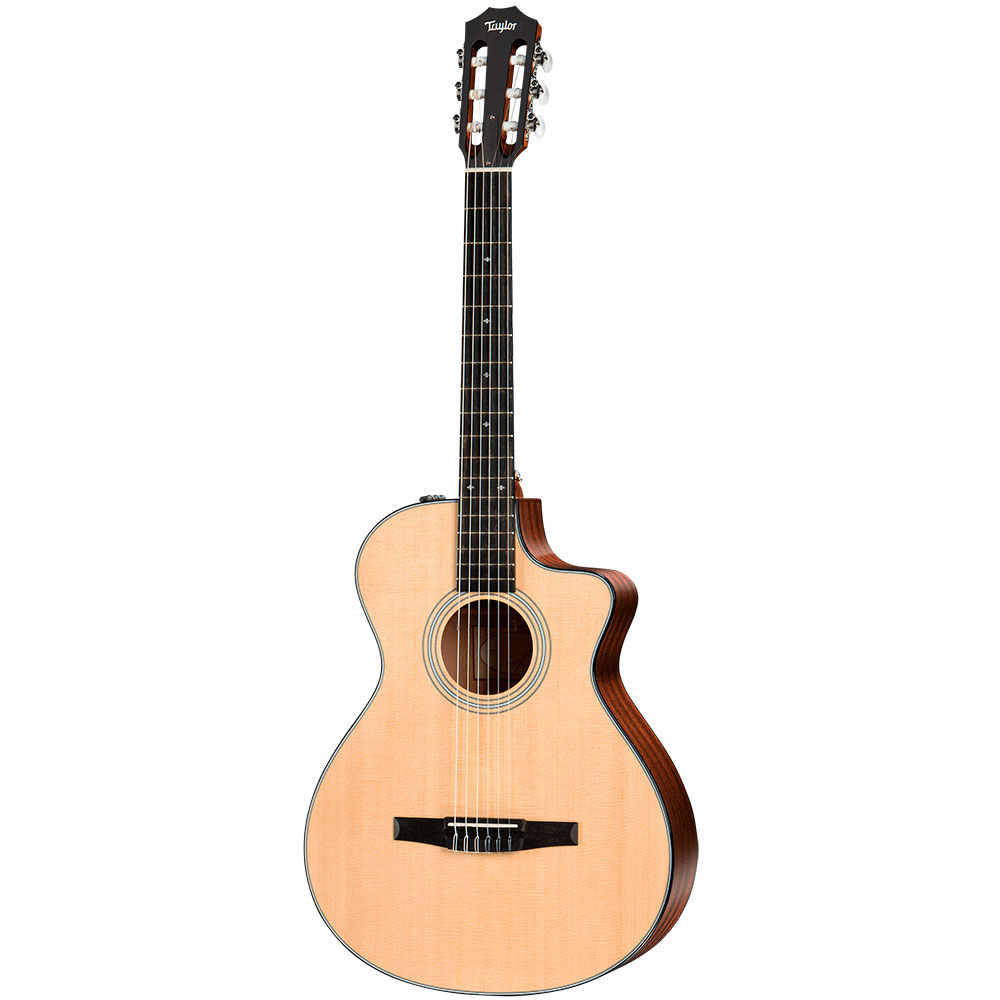 Taylor 312 ce アコースティックギター - 楽器/器材