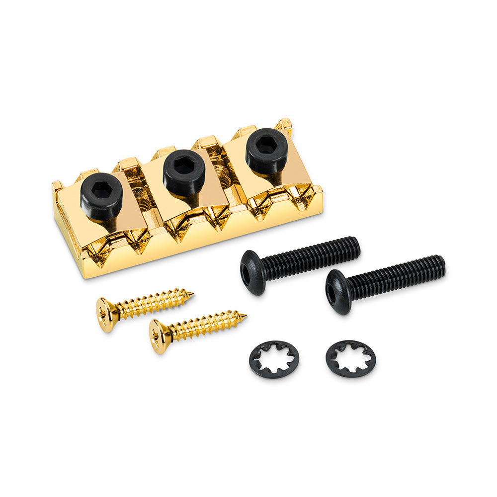 SCHALLER Nut set R2 GO ST ナットセット