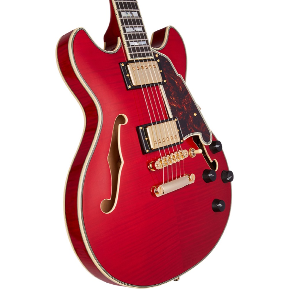 D’Angelico Excel Mini DC Trans Cherry エレキギター ボディ斜めアングル画像