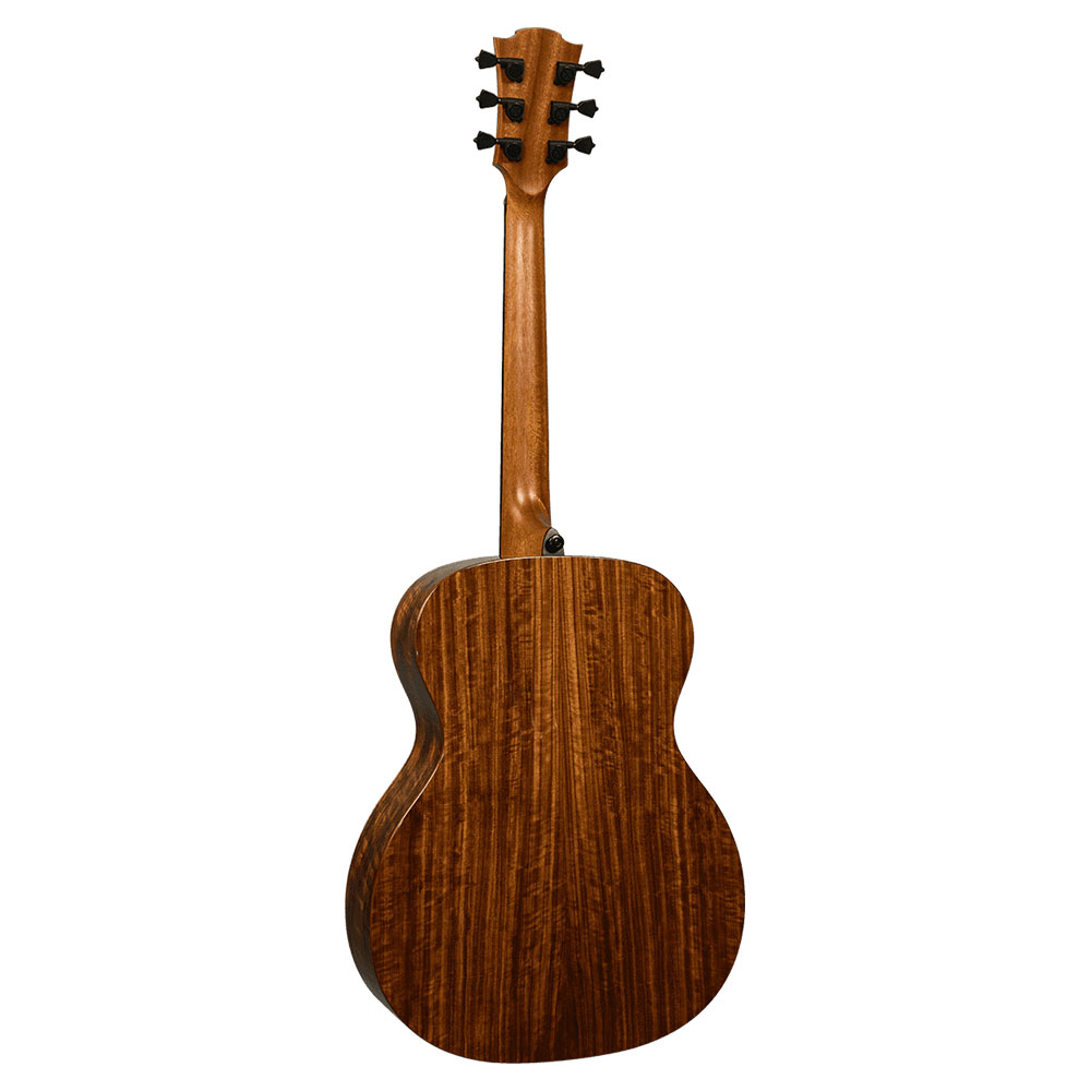 LAG GUITARS T318A アコースティックギター ボディバック画像