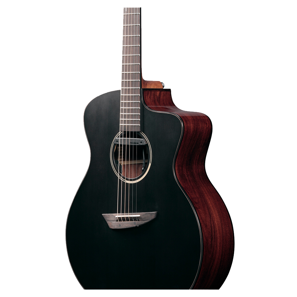 IBANEZ JGM5-BSN Jon Gomm Signature Model エレクトリックアコースティックギター ボディ画像 サウンドホール部画像