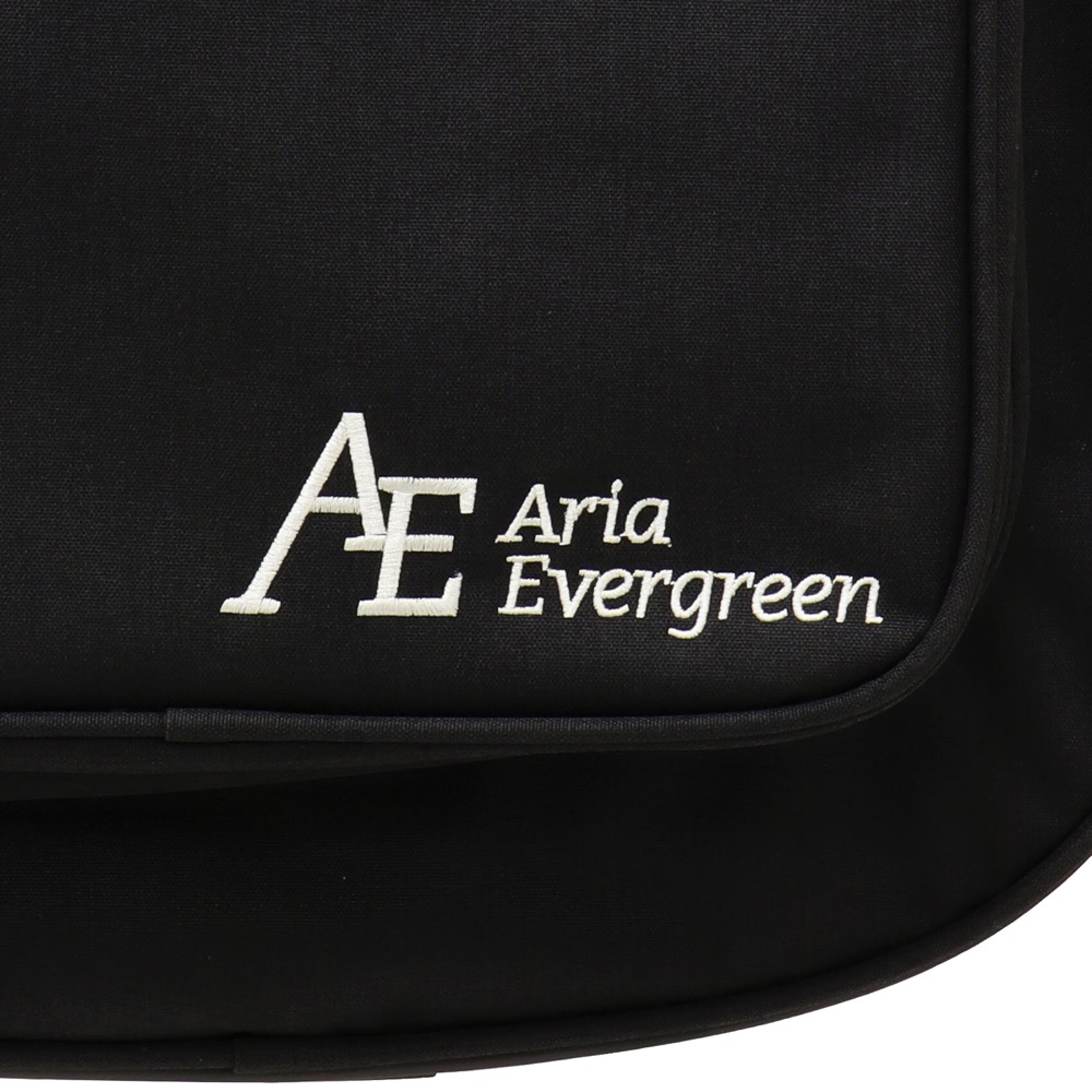 AriaProII STB-AE200 BKDM Aria Evergreen エレキベース(アリアプロII