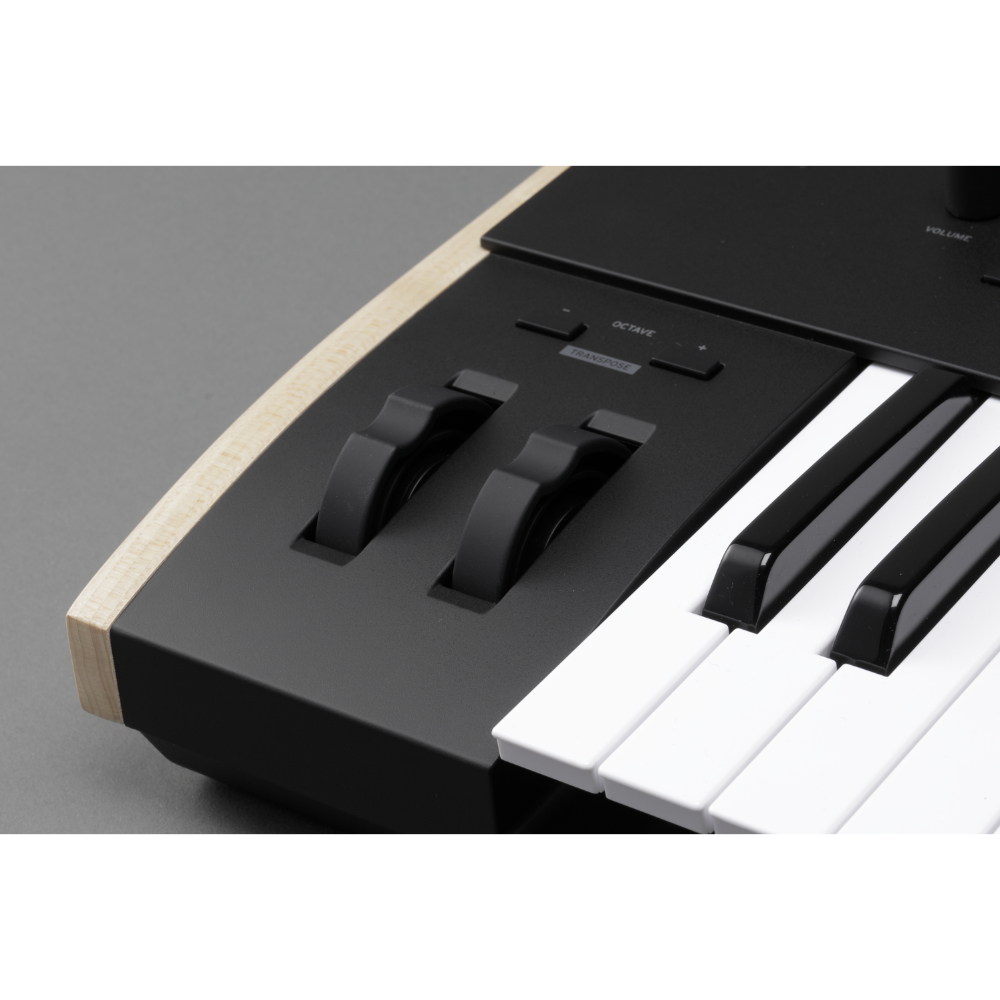 KORG コルグ Keystage-49 49鍵盤 USB MIDIキーボード MIDI2.0規格 キーステージ