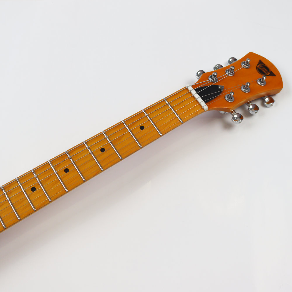 Pignose ピグノーズ PGG-257T - エレキギター
