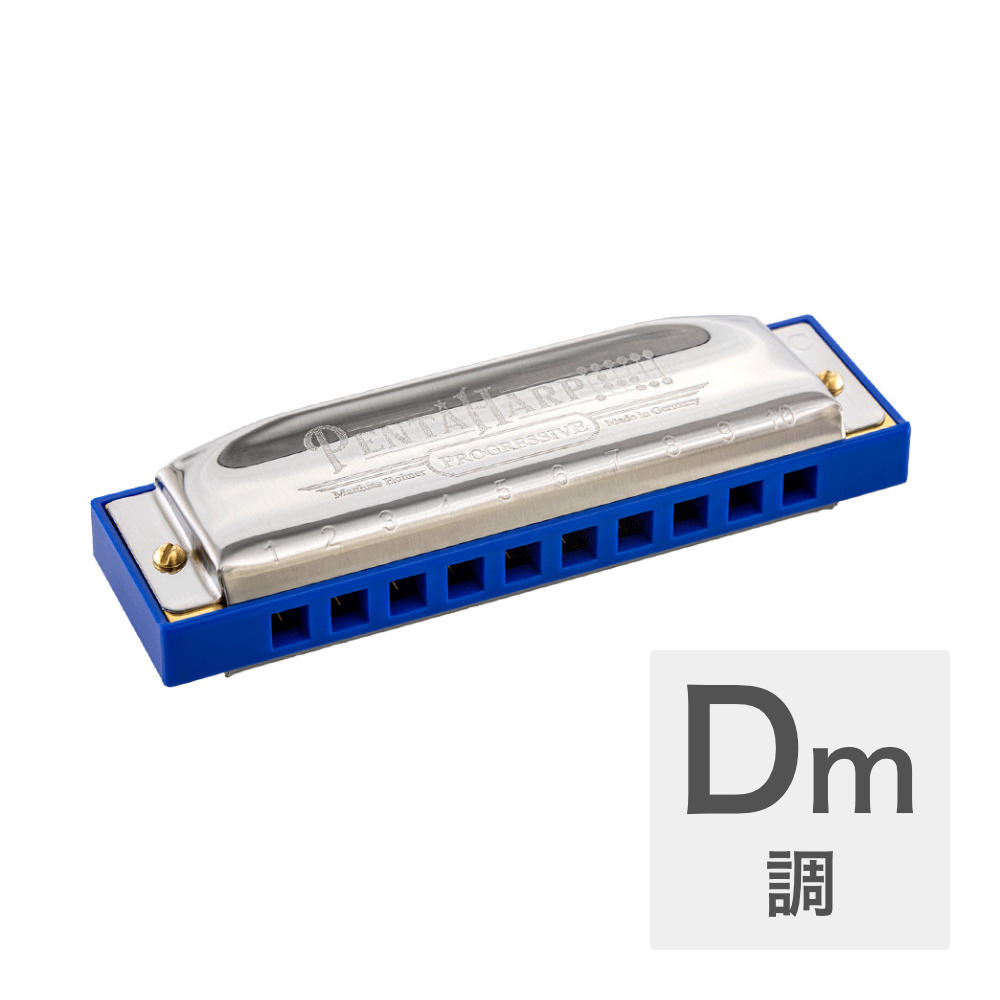 HOHNER ホーナー Penta Harp Dマイナー 10穴ハーモニカ ブルースハープ