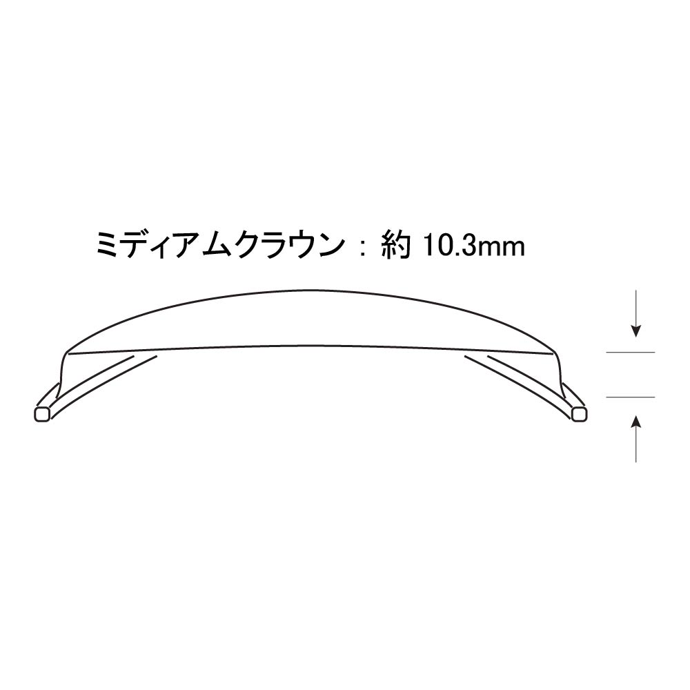 SCUD P-190M バンジョー用REMOヘッド アウトレット 解説画像