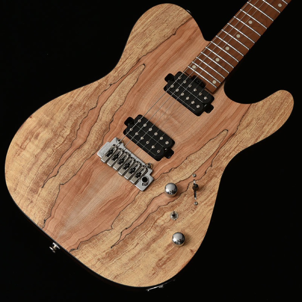 BACCHUS バッカス Japan Tune-up Series TACTICS24-SPM RSM/M NAS エレキギター ボディトップ画像