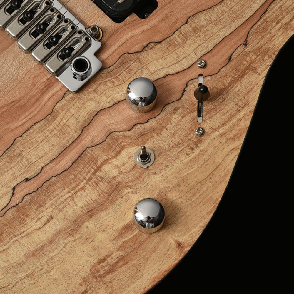 BACCHUS バッカス Japan Tune-up Series TACTICS24-SPM RSM/M NAS エレキギター コントロール部画像