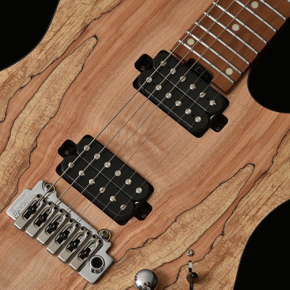 BACCHUS バッカス Japan Tune-up Series TACTICS24-SPM RSM/M NAS エレキギター ピックアップ画像