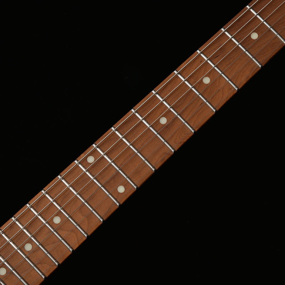 BACCHUS バッカス Japan Tune-up Series TACTICS24-SPM RSM/M NAS エレキギター 指板画像