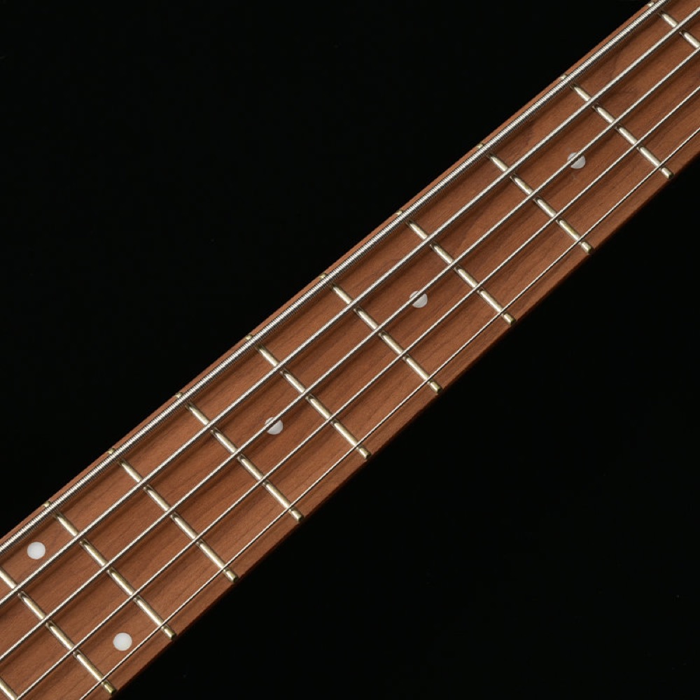 BACCHUS バッカス Japan Tune-up Series WL5-WN-AC RSM/M NAS 5弦ベース エレキベース 指板