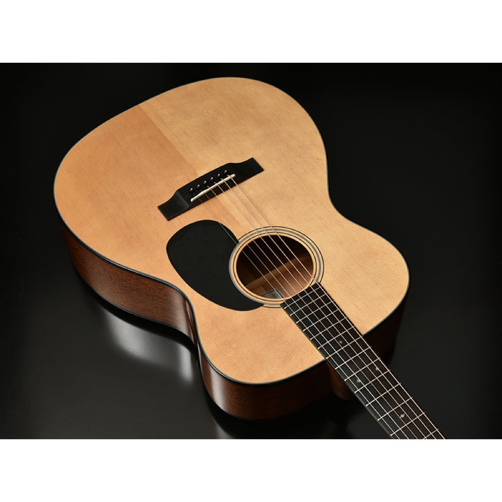 HEADWAY ヘッドウェイ Japan Tune-up Series HOM-V100AS/D NA アコースティックギター アコギ トップ