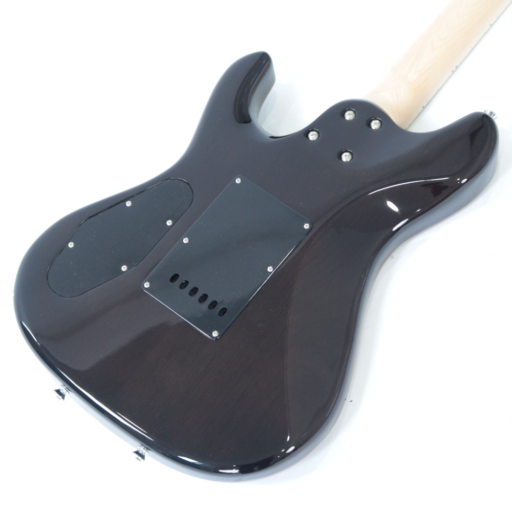 SCHECTER シェクター MZ-1 STBK/M エレキギター ボディバック画像