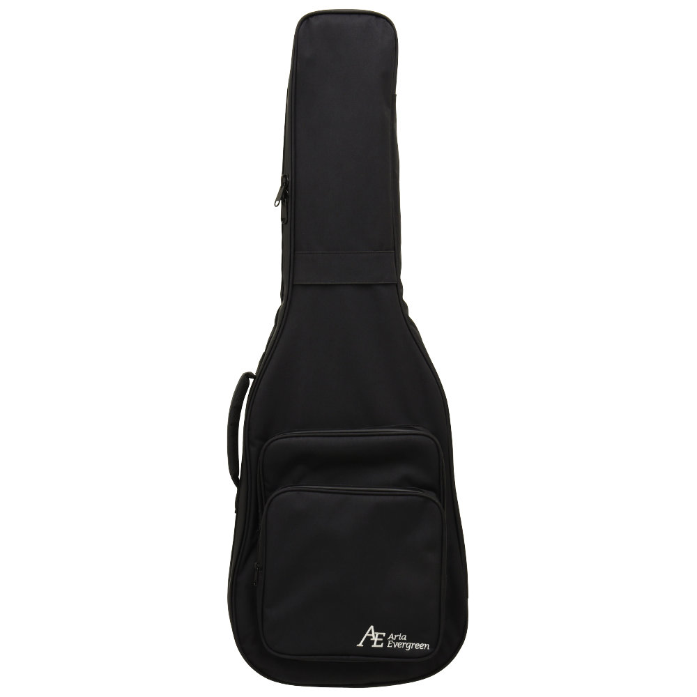 AriaProII 714-AE200 OPGR エレキギター ケース