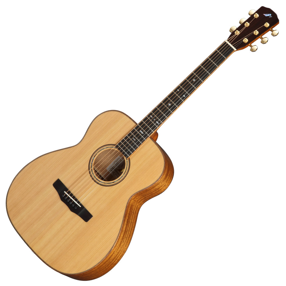 MORRIS モーリス F-92.LC JapanForest series アコースティックギター